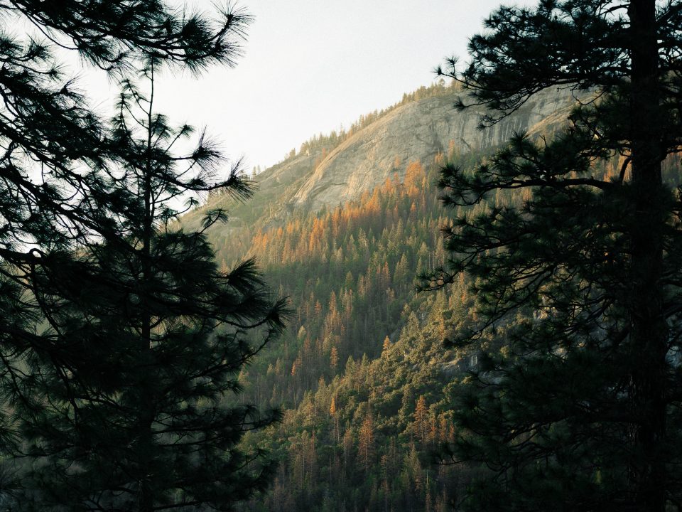 Sustainable retail supply chain